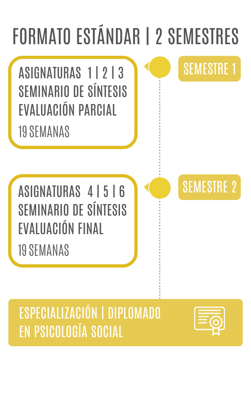 Gráfico Niveles Especializacion Diplomado - ESTANDAR - WEB ceideps